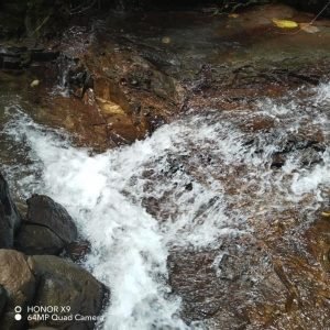 WhatsApp Image 2023-09-08 at 11.42.20 AM