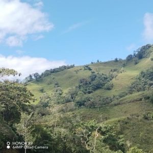 WhatsApp Image 2023-09-08 at 11.42.20 AM _1_