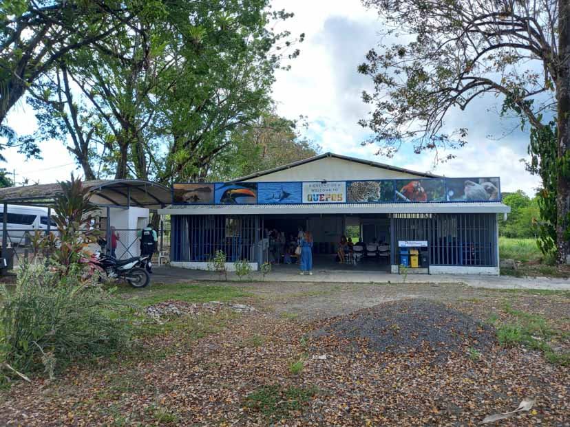 Currently, the small domestic airport in Quepos is the main air gateway to Costa Ballena. It is about a half hour's drive from Dominical. 