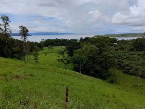 foto-14_b3d740b9-b3f2-4eb9-9ea0-4d2d54f39fe6