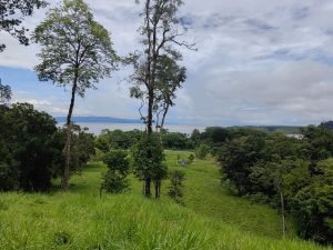 foto-17_c5486079-d361-4558-a1b5-a15541e29506