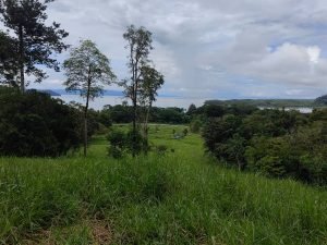 foto-18_7195ad4b-8a50-4bc6-af9f-b514b1c48f2c