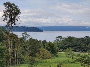 foto-1_d58f6b05-258d-4e22-9ddb-f06c67039214