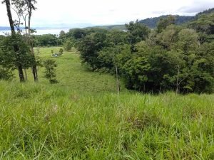 foto-23_5b0e310f-17dd-41e4-9e51-942344f69a5b