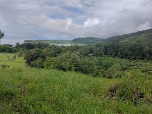 foto-25_e8e48424-7f3d-4f1c-8a8d-121ea8db7967