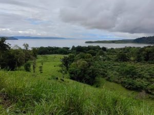 foto-2_eabe6a76-76b3-4307-a5e0-fa262807f3cf