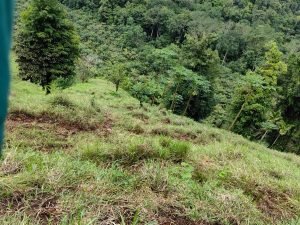 foto-51_84a0f56b-831c-4cca-b1f0-96f5f2f41c25