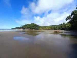 A tropical beach at low tide.