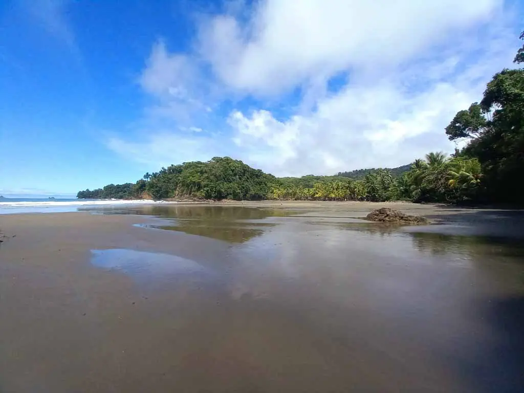 A tropical beach at low tide.