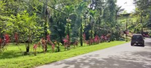 photo-2022-11-25-08-54-04_d67384eb-db21-45a7-94c0-3acdf46e73a3