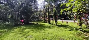 photo-2022-11-25-08-54-12_8f2858ce-ad5d-4721-bc74-40f4ffa31ef2