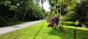 photo-2022-11-25-08-54-25_ab87aacd-a7b8-40ff-858c-0888cc16b5f3