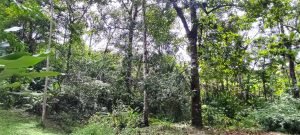 photo-2022-11-25-08-54-32_b6f31130-9868-4fb3-be3b-1055b2a7c703