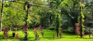 photo-2022-11-25-08-54-41_332555a0-8878-45aa-8827-652c09ffe1db