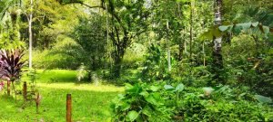 photo-2022-11-25-08-54-42_77db5f7e-77dd-4916-9660-e611be5acb5f