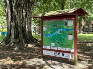 Map of local area, next to a huge tree. 