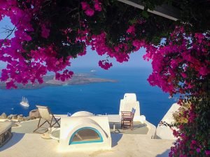 Flowers and ocean.