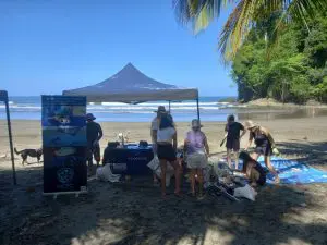 Ventanas beach cleanup.