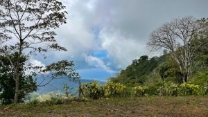 5422 Morete 1.8 Acre Lot #1