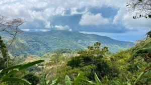 5422 Morete 1.8 Acre Lot #11