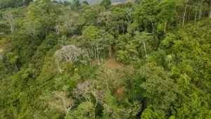 5422 Morete 1.8 Acre Lot #12