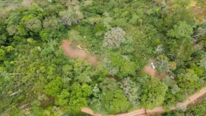 5422 Morete 1.8 Acre Lot #13