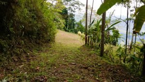 5422 Morete 1.8 Acre Lot #14