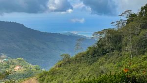 5422 Morete 1.8 Acre Lot #15