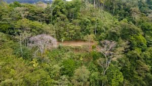 5422 Morete 1.8 Acre Lot #4