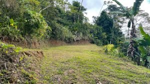 5422 Morete 1.8 Acre Lot #5