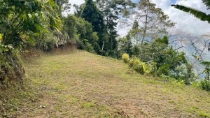 5422 Morete 1.8 Acre Lot #6