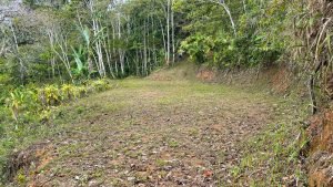 5422 Morete 1.8 Acre Lot #8