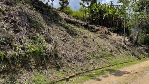 5459 – P10 Lot C15-18