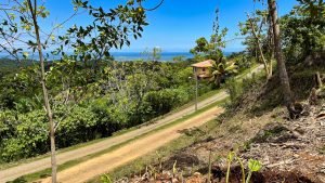 5459 – P10 Lot C15-19