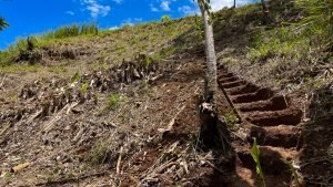 5459 – P10 Lot C15-20