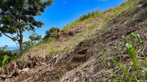 5459 – P10 Lot C15-24