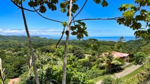 5459 – P10 Lot C15-25