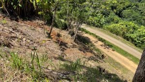 5459 – P10 Lot C15-27