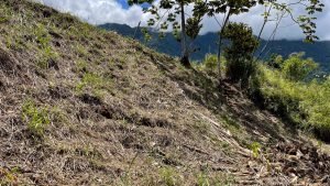 5459 – P10 Lot C15-28