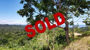 5459 – P10 Lot C15-3-Photoroom