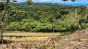 5459 – P10 Lot C15-31