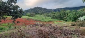 5732 Ph 11 Lot #40 01