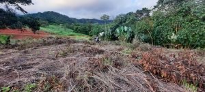 5732 Ph 11 Lot #40 02