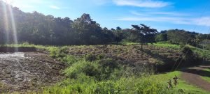 5732 Ph 11 Lot #40 03