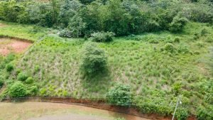 5732 Ph 11 Lot #40 08