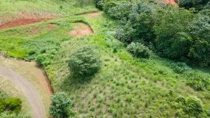 5732 Ph 11 Lot #40 09