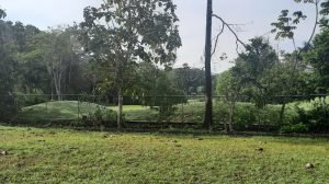 5759 Golf Course Lot San Buenas 03