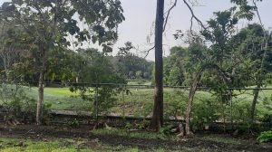 5759 Golf Course Lot San Buenas 04