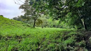 5878 River And Mountain View Property 01