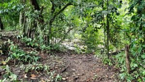 5878 River And Mountain View Property 02
